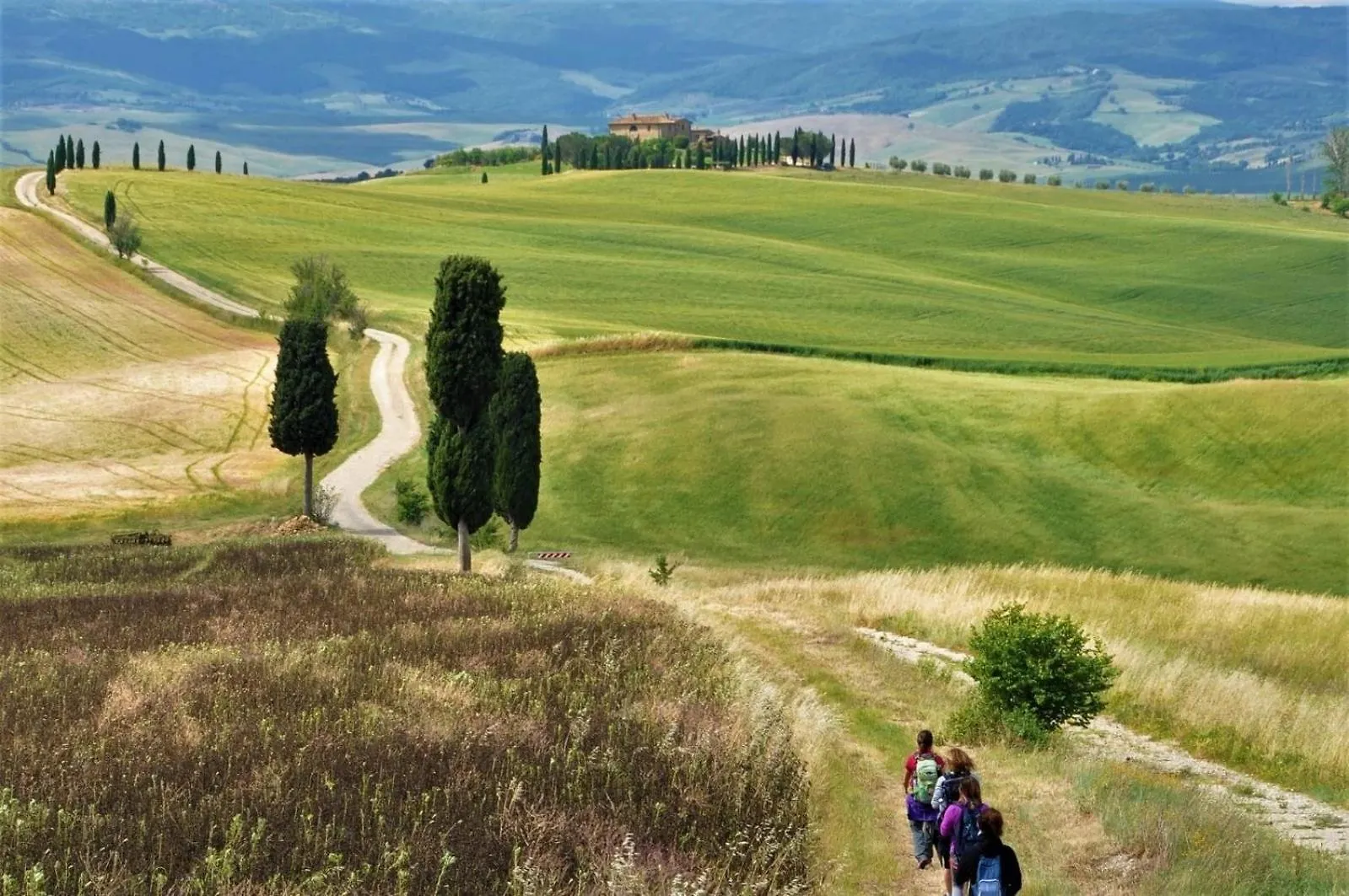 Agriturismo Le Sorbelle D'Orcia Con Piscina Pienza