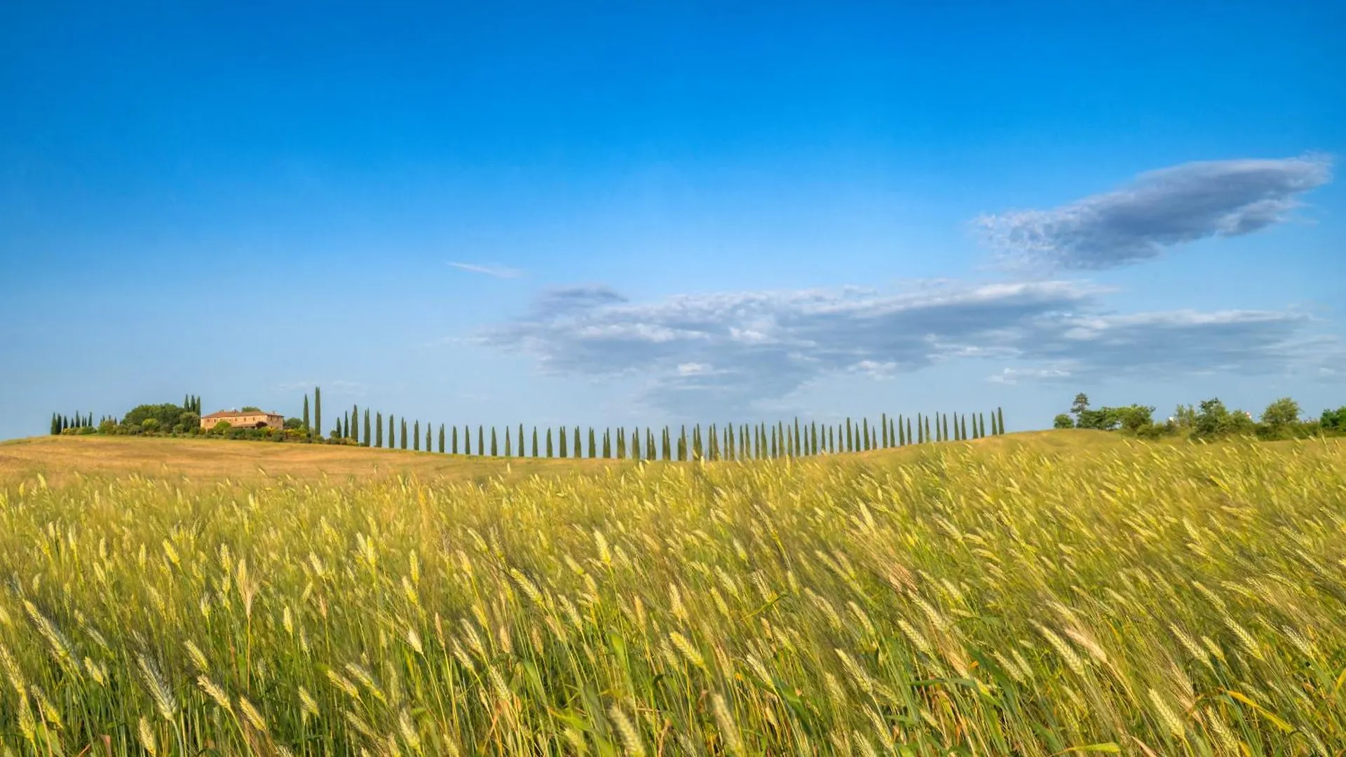 Agriturismo Le Sorbelle D'Orcia Con Piscina 皮恩扎 农家乐