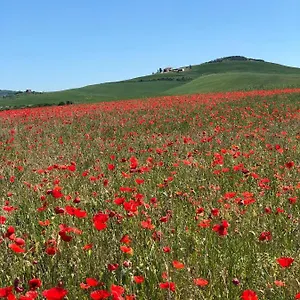 Poggio Tobruk Pienza